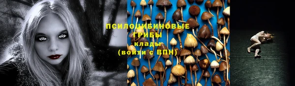 spice Абдулино