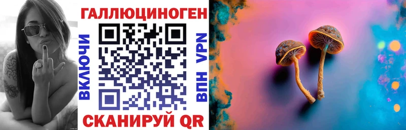 Псилоцибиновые грибы MAGIC MUSHROOMS  купить закладку  Калининград 